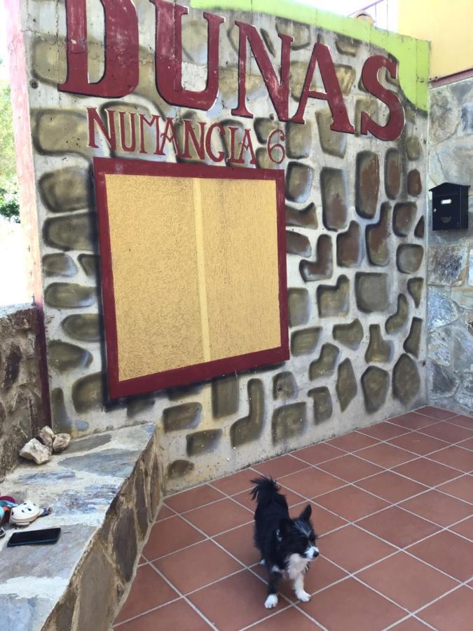 Dunas * Santa María de la Alameda